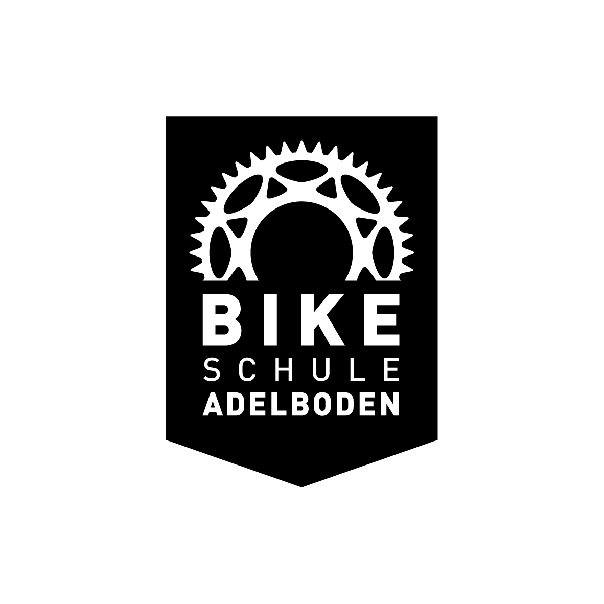 Bikeschule Adelboden